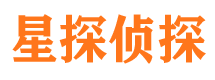 大观市侦探调查公司